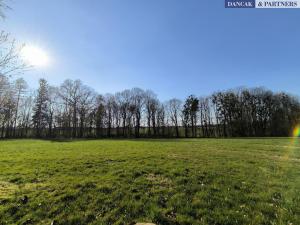 Prodej pozemku, Dolní Domaslavice, 2891 m2