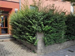 Prodej bytu 2+kk, Brno, Petrůvky, 42 m2