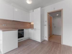 Pronájem bytu 1+kk, Praha - Vysočany, Bassova, 29 m2