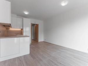 Pronájem bytu 1+kk, Praha - Vysočany, Bassova, 29 m2