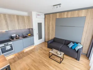 Pronájem bytu 1+kk, Praha - Žižkov, Seifertova, 32 m2
