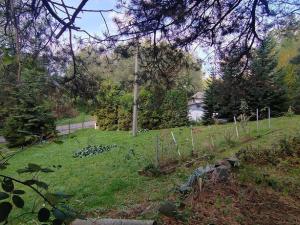 Prodej zahrady, Klimkovice, 1738 m2