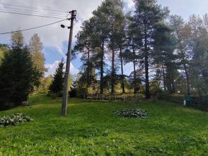 Prodej zahrady, Klimkovice, 1738 m2