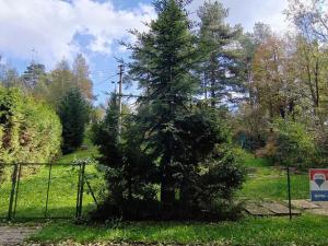 Prodej zahrady, Klimkovice, 1738 m2