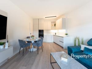Pronájem bytu 2+kk, Brno - Staré Brno, Nové sady, 72 m2