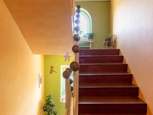 Pronájem bytu 1+kk, Křelov-Břuchotín - Křelov, 42 m2