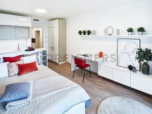 Pronájem bytu 1+kk, Praha - Libeň, Kurta Konráda, 30 m2