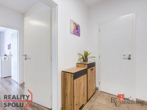 Prodej bytu 2+kk, Plzeň, Kreuzmannova, 48 m2