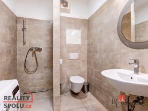 Prodej bytu 2+kk, Plzeň, Kreuzmannova, 48 m2