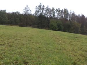 Prodej pozemku, Zbraslavec, 3445 m2
