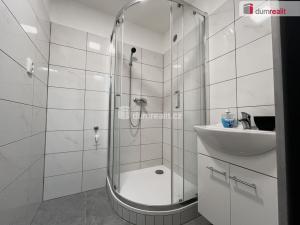 Pronájem bytu 1+kk, Krupka, Sídliště, 28 m2