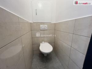Pronájem bytu 1+kk, Krupka, Sídliště, 28 m2