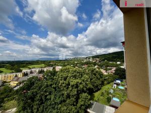 Pronájem bytu 1+kk, Krupka, Sídliště, 28 m2
