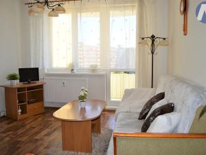 Pronájem bytu 2+kk, České Budějovice, K. Štěcha, 42 m2