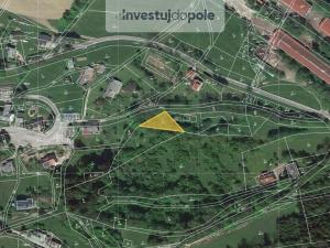 Prodej louky, Benecko - Mrklov, 1960 m2