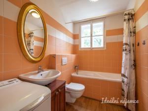 Pronájem bytu 1+1, Praha - Smíchov, U Demartinky, 45 m2