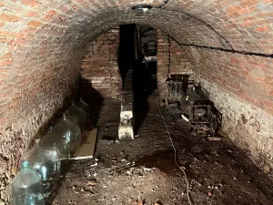 Prodej vinného sklepa, Přítluky, 155 m2
