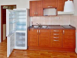 Pronájem bytu 1+kk, Praha, Bachova, 26 m2