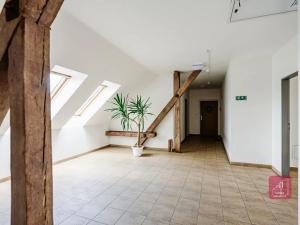 Prodej bytu 4+kk, Bohdalice-Pavlovice, 114 m2
