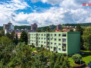 Prodej bytu 1+1, Ústí nad Labem - Neštěmice, Seifertova, 35 m2