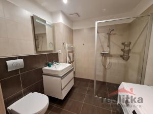Pronájem bytu 2+kk, Opava - Předměstí, Rooseveltova, 60 m2