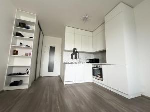 Pronájem bytu 1+kk, Praha - Hostivař, Švehlova, 35 m2