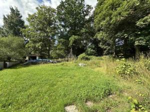 Prodej podílu 1/1 zemědělské usedlosti, Dolní Žandov, 200 m2