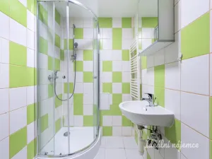 Pronájem bytu 1+kk, Praha - Vršovice, Petrohradská, 24 m2