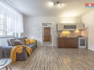 Pronájem bytu 1+1, Ústí nad Labem - Klíše, Na Popluží, 44 m2