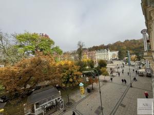 Pronájem bytu 2+1, Karlovy Vary, T. G. Masaryka, 104 m2