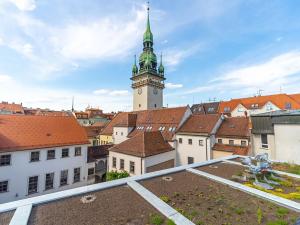 Pronájem pokoje, Brno, Starobrněnská, 22 m2