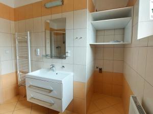 Pronájem bytu 3+kk, Cheb, Riegerova, 70 m2