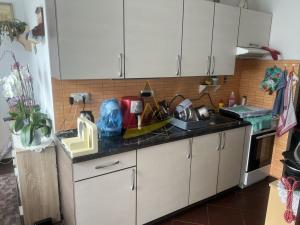 Pronájem bytu 2+1, Kaplice, Na Vyhlídce, 56 m2