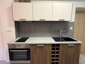 Pronájem bytu 2+kk, České Budějovice, K. Vinařického, 55 m2