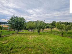 Prodej pozemku pro bydlení, Zruč nad Sázavou, 2427 m2