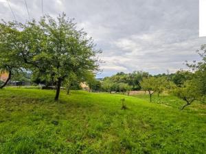 Prodej pozemku pro bydlení, Zruč nad Sázavou, 2427 m2