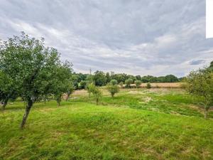 Prodej pozemku pro bydlení, Zruč nad Sázavou, 2427 m2