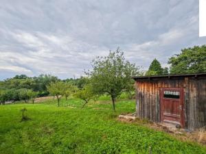 Prodej pozemku pro bydlení, Zruč nad Sázavou, 2427 m2