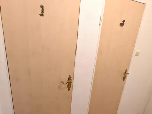 Pronájem bytu 1+1, Bílina, Alšova, 27 m2