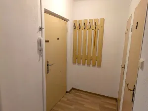 Pronájem bytu 1+1, Bílina, Alšova, 27 m2