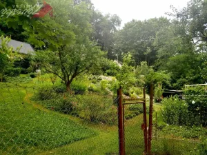 Pronájem bytu 1+1, Mnichovo Hradiště, Příčná, 37 m2