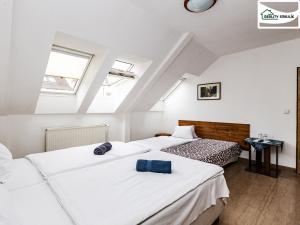 Pronájem bytu 1+kk, Cheb, Svobody, 22 m2