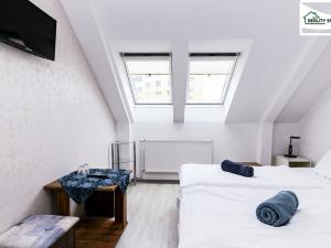 Pronájem bytu 1+kk, Cheb, Svobody, 22 m2