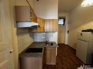 Pronájem bytu 1+kk, Praha - Vinohrady, Řipská, 46 m2