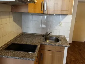 Pronájem bytu 1+kk, Praha - Vinohrady, Řipská, 46 m2