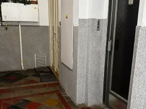 Pronájem bytu 1+kk, Praha - Vinohrady, Řipská, 46 m2