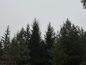 Prodej podílu pozemku, Veliny, 16991 m2