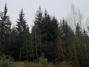 Prodej podílu pozemku, Veliny, 16991 m2