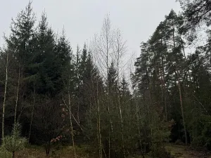 Prodej podílu pozemku, Veliny, 16991 m2