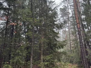 Prodej podílu pozemku, Veliny, 16991 m2